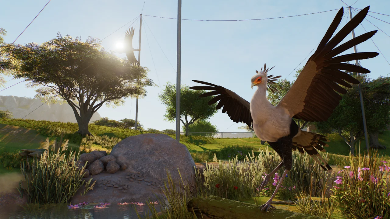 A secretary bird spreading its wings inside a landscaped aviary