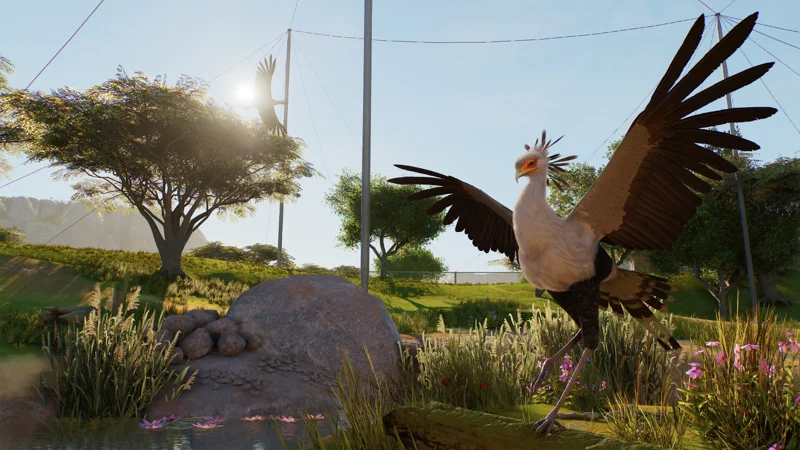 A secretary bird with wings spread